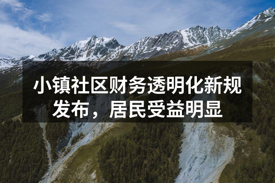 小镇社区财务透明化新规发布，居民受益明显